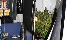 Przez sąsiedzką zawiść biznesu nie będzie