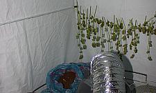 Przez sąsiedzką zawiść biznesu nie będzie