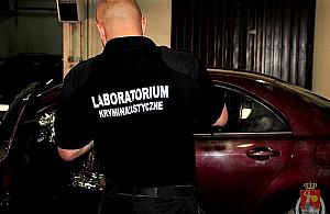 Program zapobiegania przestępczości. Bemowo jedną z bezpieczniejszych dzielnic