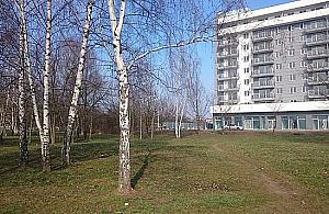 Badminton, hamaki i relaks na trawie na Odkrytej? Czemu nie!