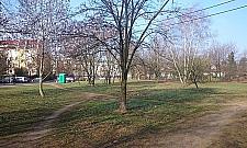 Badminton, hamaki i relaks na trawie na Odkrytej? Czemu nie!