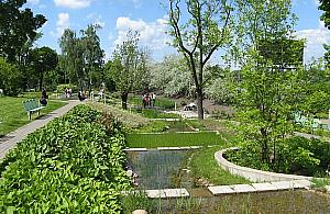 Biblioteka Uniwersytecka zaprasza do ogrodu