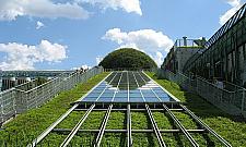 Biblioteka Uniwersytecka zaprasza do ogrodu