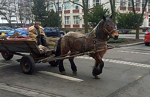 Coraz rzadszy widok...