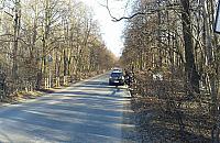 Autobusy nie wjadą do Lasu Bielańskiego. Projekt w koszu