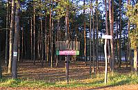 Wróciła linia 800. Idealna na wycieczki do Kampinosu