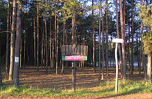 Wróciła linia 800. Idealna na wycieczki do Kampinosu