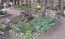 Wróciła linia 800. Idealna na wycieczki do Kampinosu