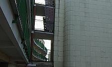 Uśmiechnięty galeriowiec na Kole