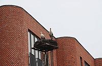 Bociany zamieszka³y obok szko³y