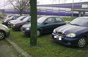 500 zł za parkowanie na trawniku. "Nikogo to nie odstrasza"