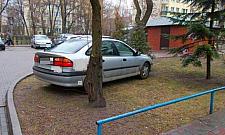 500 zł za parkowanie na trawniku. "Nikogo to nie odstrasza"