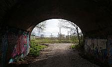 Najbardziej niezwykła ulica Woli