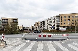 Więcej przejść dla pieszych i lewoskręt na Wincentego