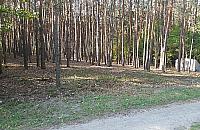 Miasto potrzebuje pieni�dzy. Rusza sprzeda� dzia�ek