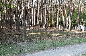 Miasto potrzebuje pieniędzy. Rusza sprzedaż działek