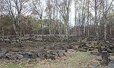 Wielkie zmiany na Cmentarzu Żydowskim. "Robi niesamowite wrażenie"