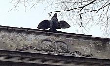 Willa Pod Kogutkiem uratowana