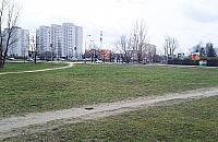 Zbudujemy ogrody Mehoffera? "Ludzie potrzebują zieleni a nie kolejnego betonu"