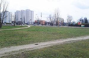 Zbudujemy ogrody Mehoffera? "Ludzie potrzebują zieleni a nie kolejnego betonu"