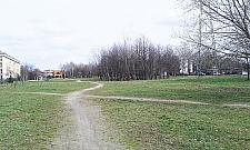 Zbudujemy ogrody Mehoffera? "Ludzie potrzebują zieleni a nie kolejnego betonu"