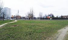 Zbudujemy ogrody Mehoffera? "Ludzie potrzebują zieleni a nie kolejnego betonu"