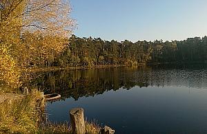 Widoczek dla Andrusa