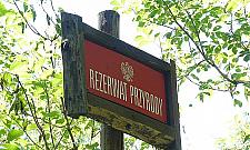 Bajkowe Łosiowe Błota. "Fragment dzikiej przyrody w mieście"