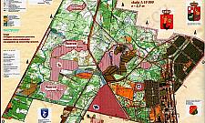 Bajkowe Łosiowe Błota. "Fragment dzikiej przyrody w mieście"