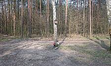 Rowerem po Wawrze, czyli Radość na dwóch kółkach