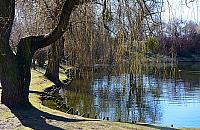 Moczydło - najbardziej oryginalny park Warszawy?
