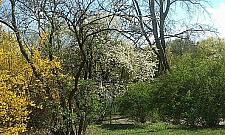 Moczydło - najbardziej oryginalny park Warszawy?