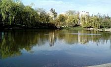 Moczydło - najbardziej oryginalny park Warszawy?