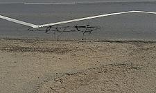 Łodygowa rozsławi Targówek. Pojedzie nią Tour de Pologne