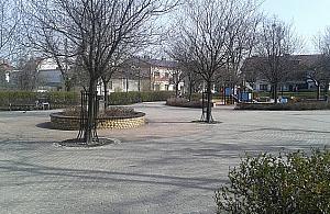 Plac Kasztelański oddać dzieciom czy dorosłym?