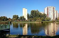 Park linowy dla dzieci przy Stawach Brustmana. "Zgodnie z planem"