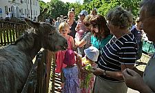 Odpust na Bielanach. Kiedyś spieszyła tu cała Warszawa