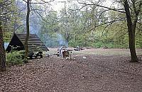 Koniec grillowania w Lesie Bemowskim