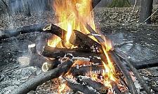 Koniec grillowania w Lesie Bemowskim