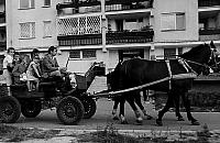 Tarchomin '80 nocą. Zapraszamy na podróż w czasie