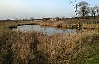 Ogrodzą Jezioro Żabie? Dookoła powstaną domki jednorodzinne