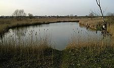 Ogrodzą Jezioro Żabie? Dookoła powstaną domki jednorodzinne