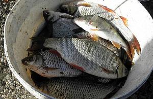 Sezon wędkarski rozpoczęty. Gdzie na ryby w okolicy?