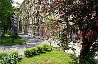 Kolonia Wawelberga świętuje w rytmie samby