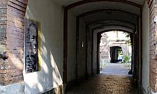 Kolonia Wawelberga świętuje w rytmie samby