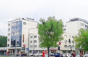 Jemioła atakuje drzewa Starych Bielan