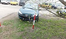 Parkowanie na PKP Płudy bezkarne. "Kolej nie uznaje tego miejsca za zieleń"