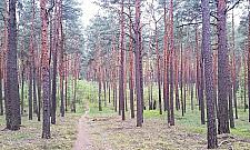 Karczma na rozstajach szlaków Kampinosu