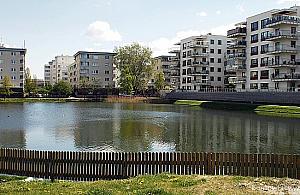 Drugie życie Stawu Jeziorzec. "Malowniczy i pełen ryb"