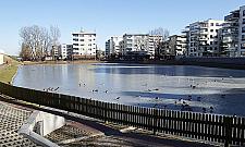 Drugie życie Stawu Jeziorzec. "Malowniczy i pełen ryb"